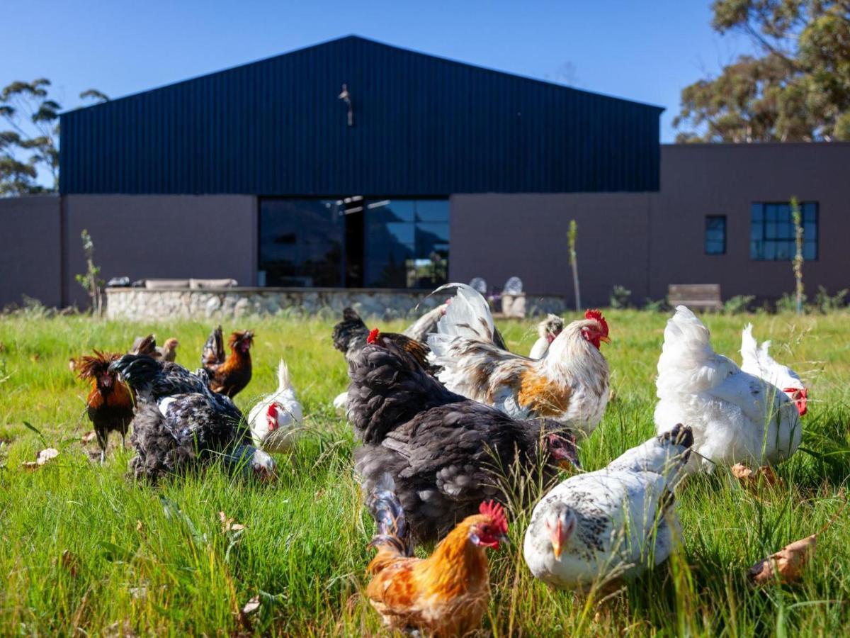 Rivergate Guest Farm Stanford Exterior photo