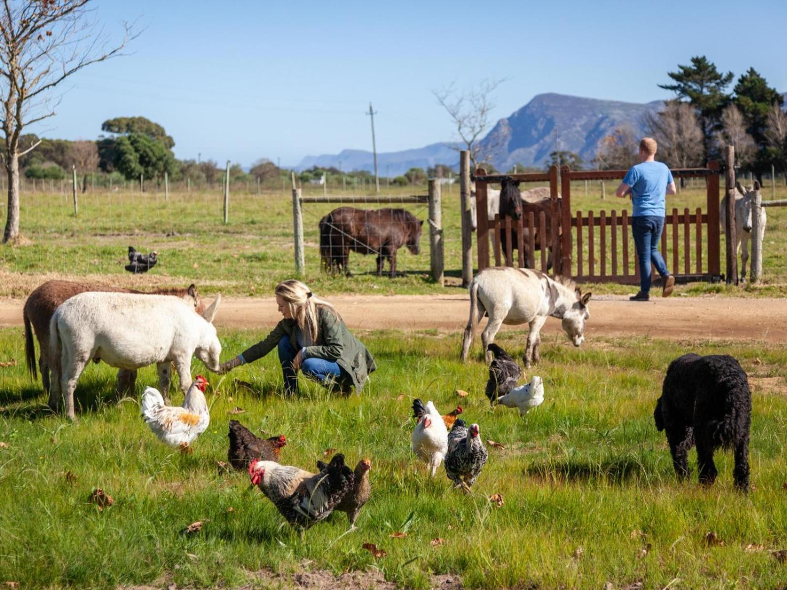 Rivergate Guest Farm Stanford Exterior photo